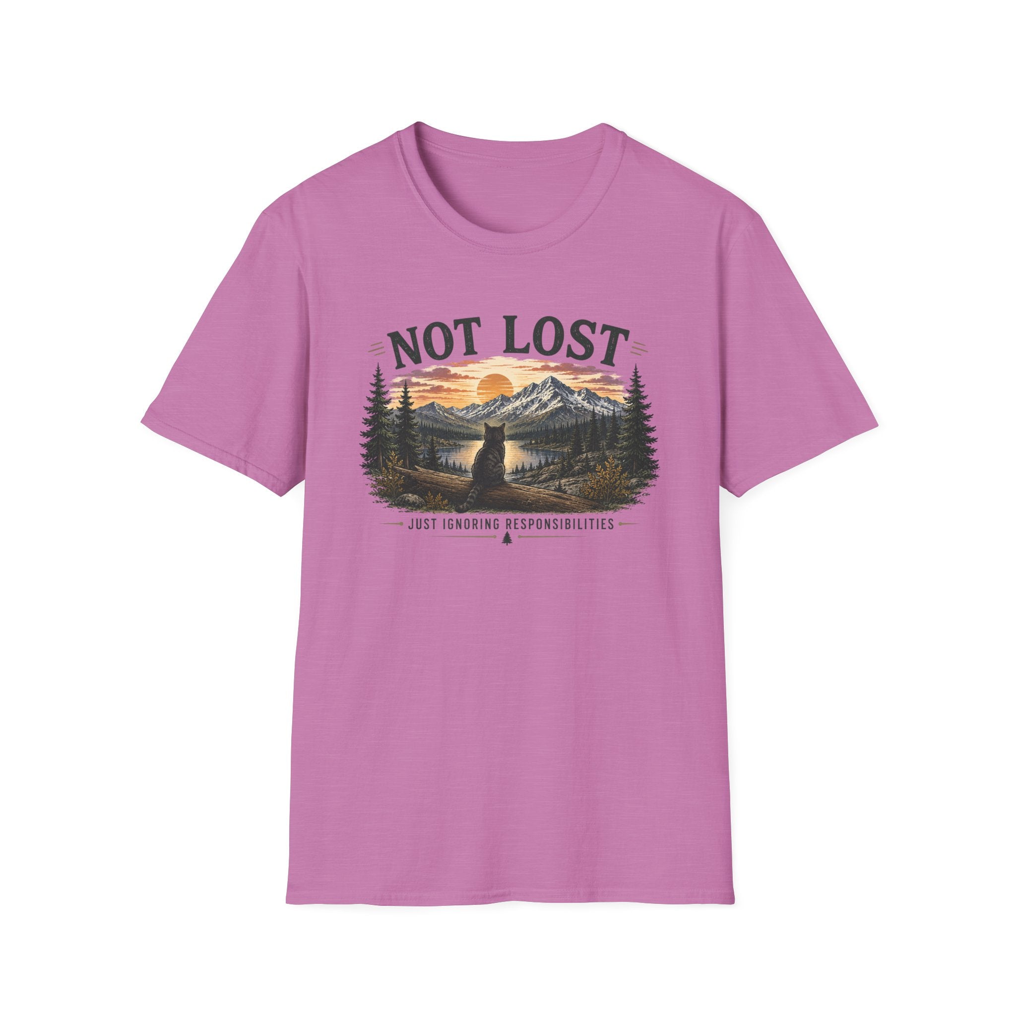 Not Lost, Just Ignoring Responsibilities